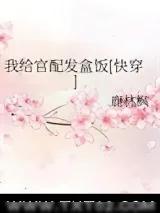 《我给官配发盒饭[快穿]》小说封面