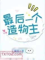 《最后一个造物主》小说封面
