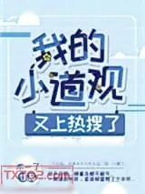 《我的小道观又上热搜了》小说封面