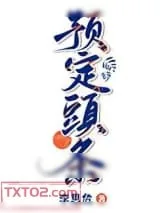 《预定头条》小说封面