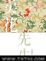 《卖花先生》小说封面