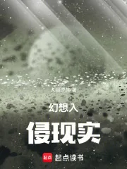 《幻想入侵现实》小说封面