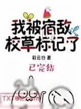 《我被宿敌校草标记了》小说封面