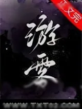 《游雾》小说封面