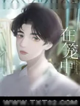 《在笼中》小说封面