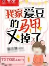 《我家爱豆的马甲又掉了》小说封面