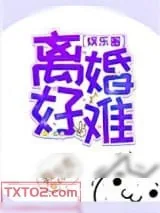 《离婚好难[娱乐圈]》小说封面