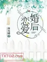 《婚后恋爱》小说封面