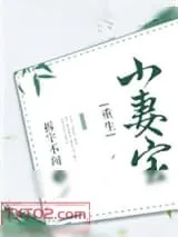 《小妻宝[重生]》小说封面