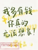《我多有钱你真的无法想象》小说封面