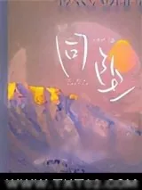 《同坠》小说封面