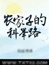 《农家子的科举路》小说封面