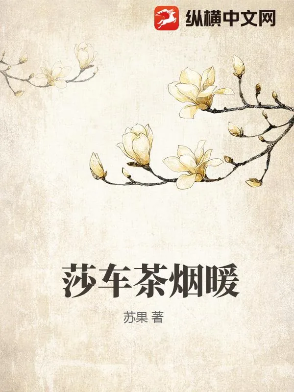 《莎车茶烟暖》小说封面