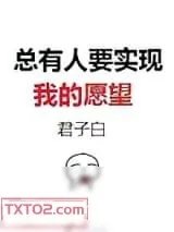 《总有人要实现我的愿望》小说封面