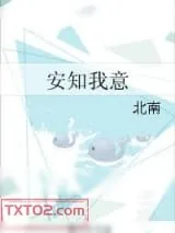 《安知我意》小说封面