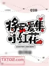 《将军爱集小红花》小说封面