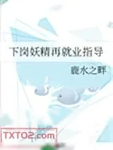 《下岗妖精再就业指导》小说封面