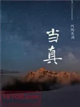《当真》小说封面