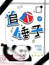 《追个锤子》小说封面