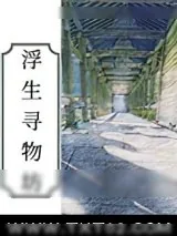 《浮生寻物坊》小说封面