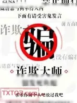 《诈欺大师》小说封面