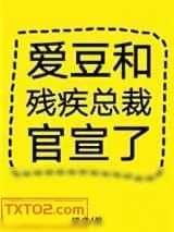 《爱豆和残疾总裁官宣了》小说封面