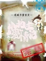 《小地主爱情记》小说封面