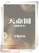 《天命圈[绝地求生]》小说封面