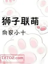 《狮子联萌（提米的战斗）》小说封面