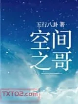 《空间之哥》小说封面