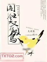《爷就是这样的鸟儿》小说封面