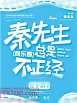 《秦先生总是很正经》小说封面