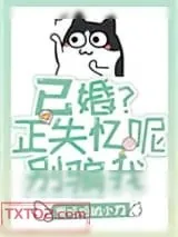 《已婚？失忆呢，别骗我》小说封面