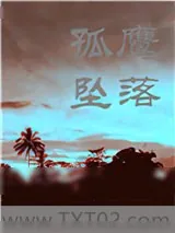 《当孤鹰坠落》小说封面