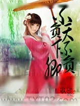 《不负天下不负卿》小说封面