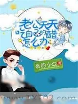 《老公天天吃自己的醋怎么办》小说封面