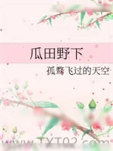 《瓜田野下》小说封面