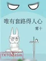 《唯有套路得人心》小说封面