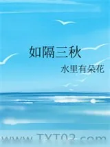 《如隔三秋》小说封面