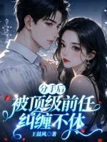 《分手后,被顶级前任纠缠不休》小说封面
