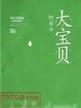 《大宝贝》小说封面