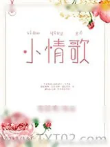 《小情歌》小说封面
