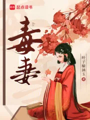 《毒妻》小说封面