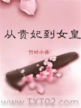 《从贵妃到女皇！》小说封面