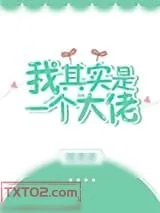 《我其实是一个大佬》小说封面