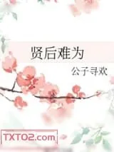 《贤后难为》小说封面