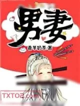 《男妻》小说封面
