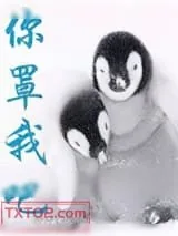 《你罩我吧》小说封面