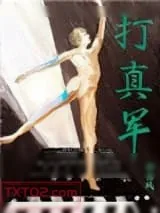 《打真军》小说封面