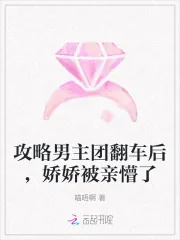《攻略男主团翻车后,娇娇被亲懵了》小说封面